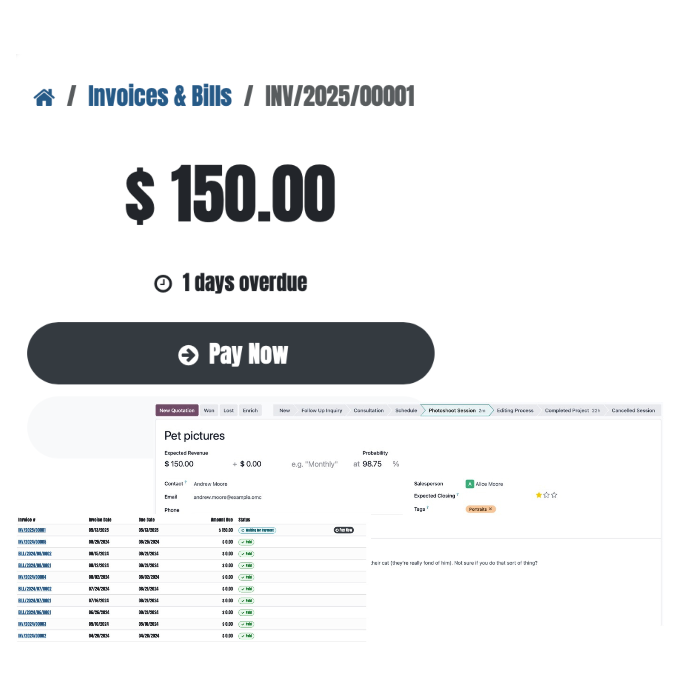 Odoo payments